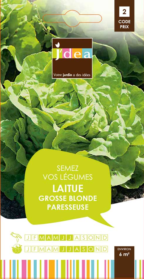 LAITUE GROSSE BLONDE PARESSEUSE Les Jardins De Maryline