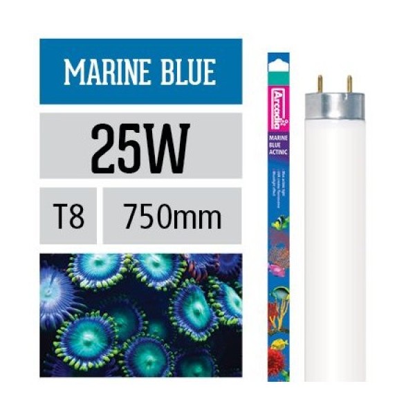 TUBE ARCADIA MARIN BLEU ACTINIC T8 25W 750MM