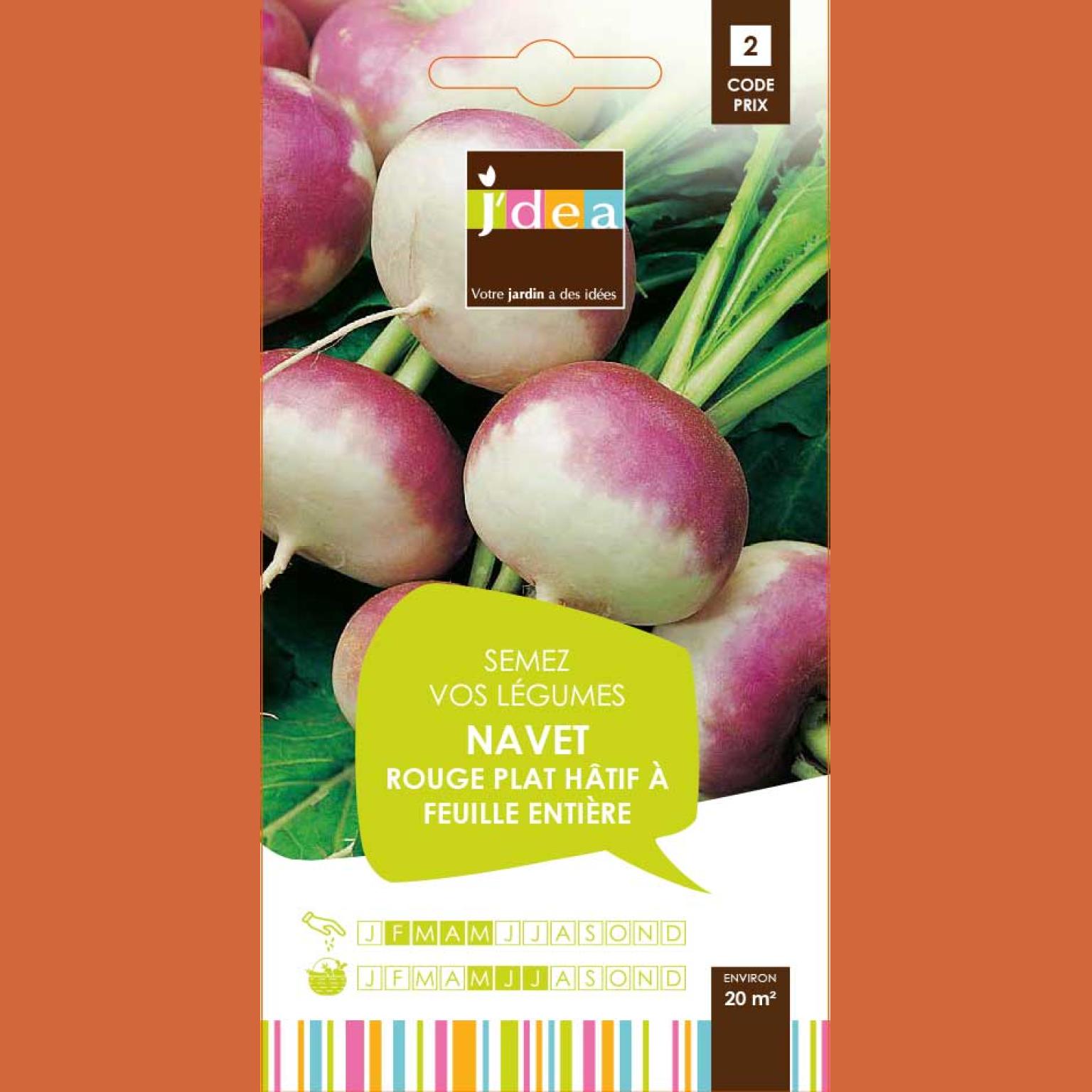 NAVET ROUGE PLAT HATIF A FEUILLE ENTIERE