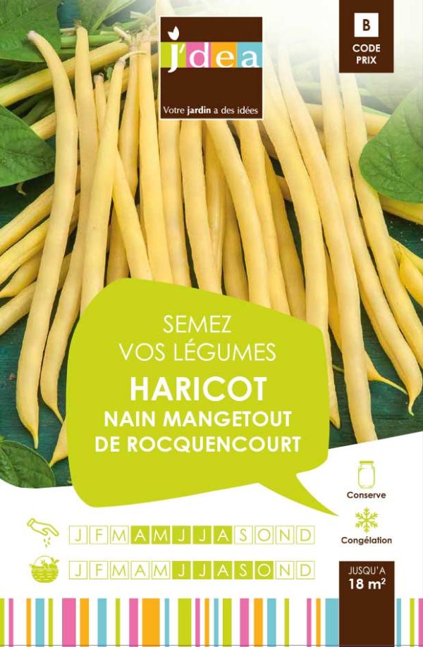 HARICOT NAIN MANGETOUT BEURRE DE ROCQUENCOURT