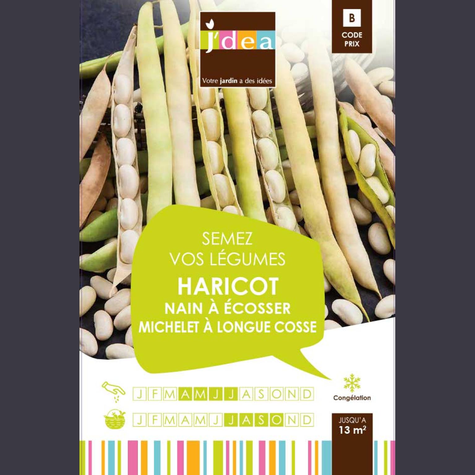 HARICOT NAIN A ECOSSER MICHELET A LONGUE COSSE