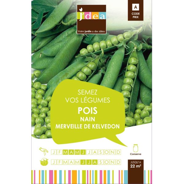 POIS NAIN MERVEILLE DE KELVEDON