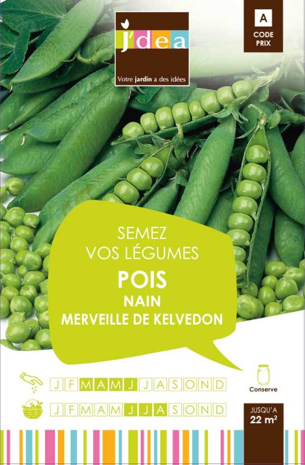 POIS NAIN MERVEILLE DE KELVEDON