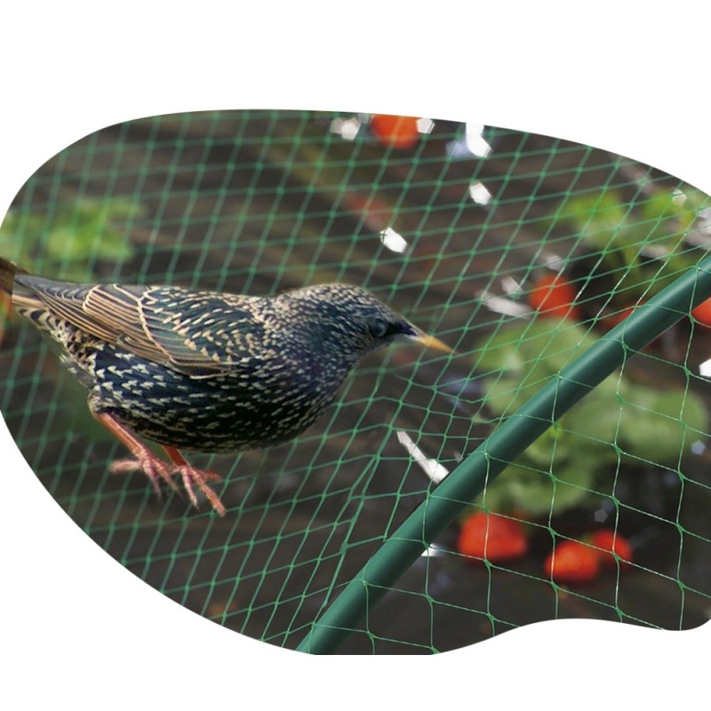 FILET OISEAUX PE VERT 2X10M