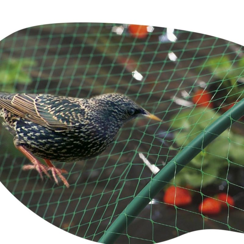 FILET OISEAUX PE VERT 2X10M