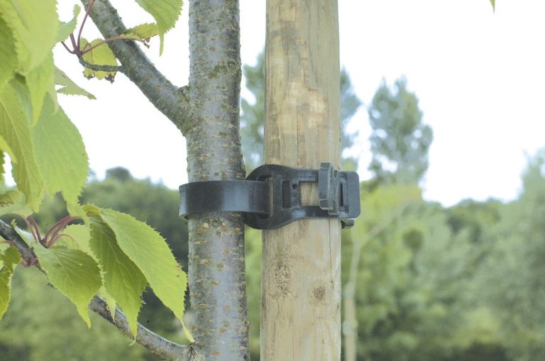 COLLIER ARBRE EXTRA RESISTANT NOIR 45CM