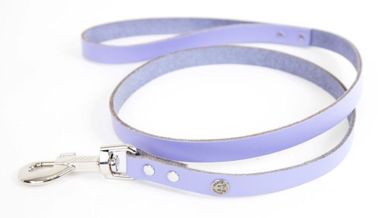 LAISSE CUIR CLASS 10-1M PARM