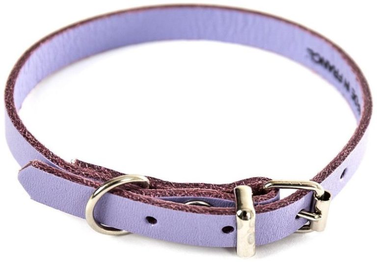 COLLIER CUIR 31-62CM BLEU