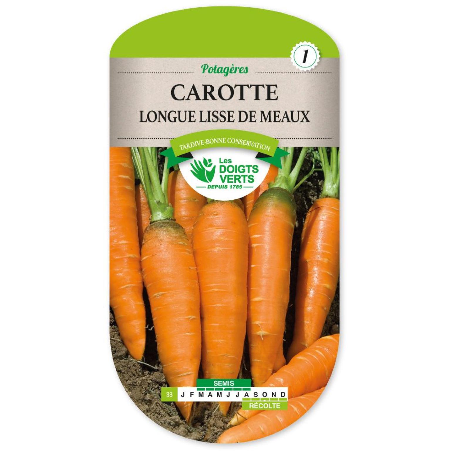 CAROTTE LONGUE LISSE DE MEAUX