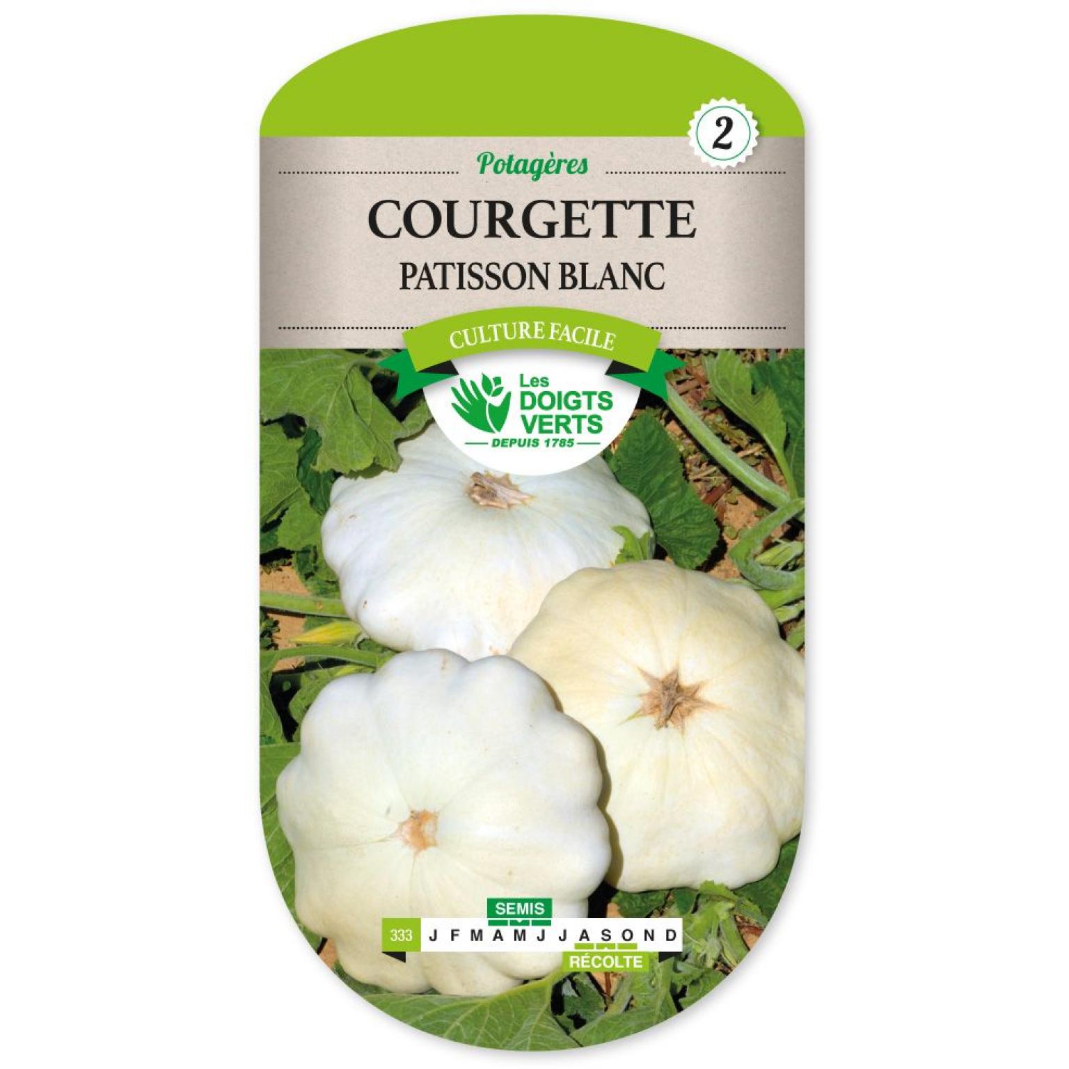 COURGETTE PATISSON BLANC
