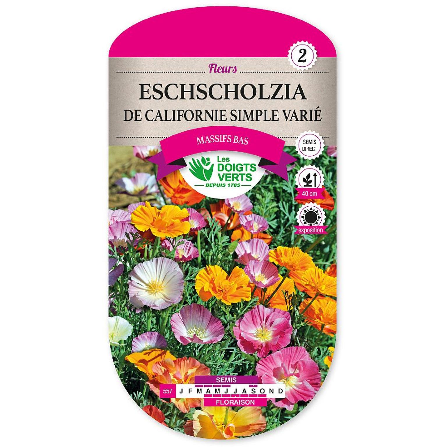 ESCHSCHOLZIA CALIFORNIE SIMPLE VARIE