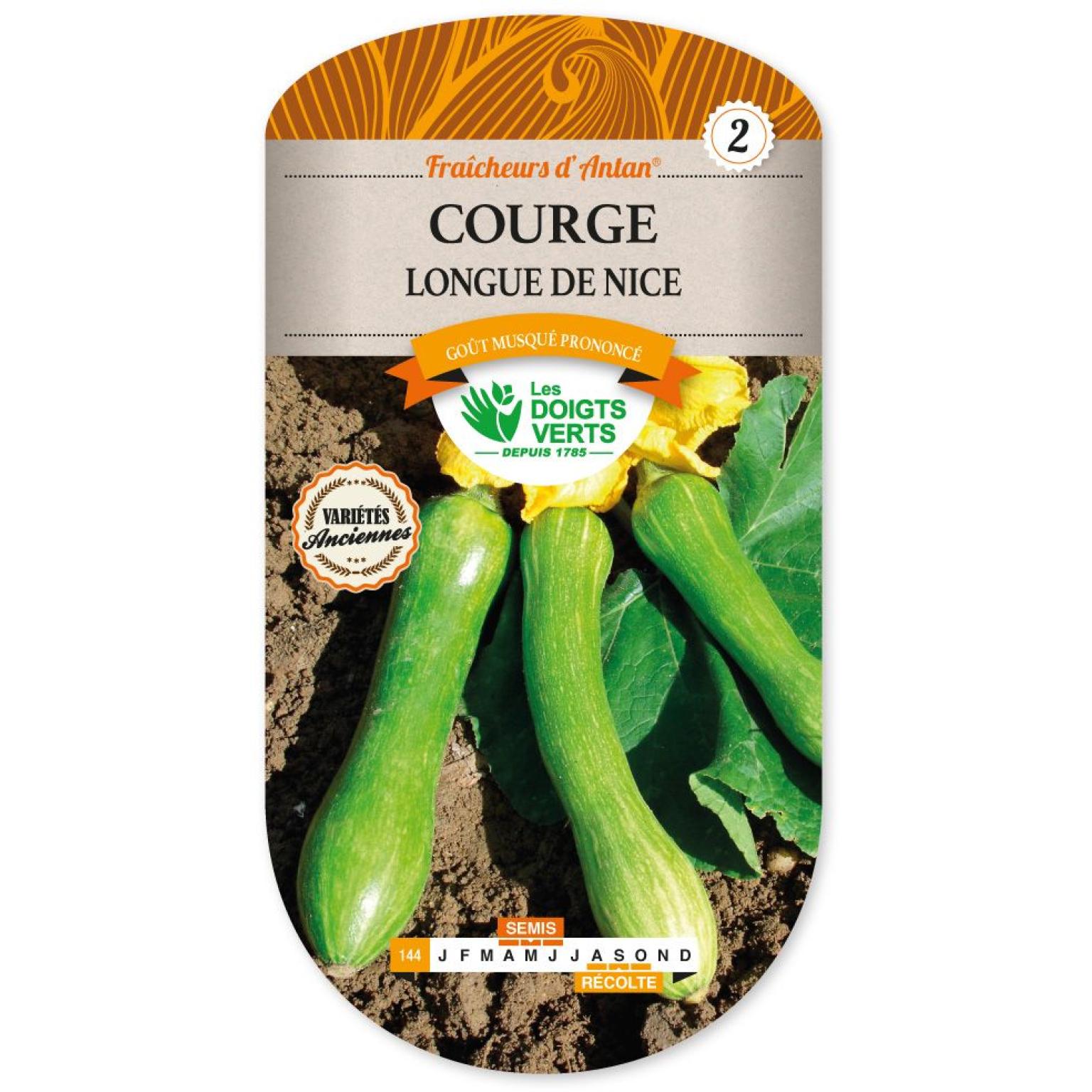 COURGE LONGUE DE NICE