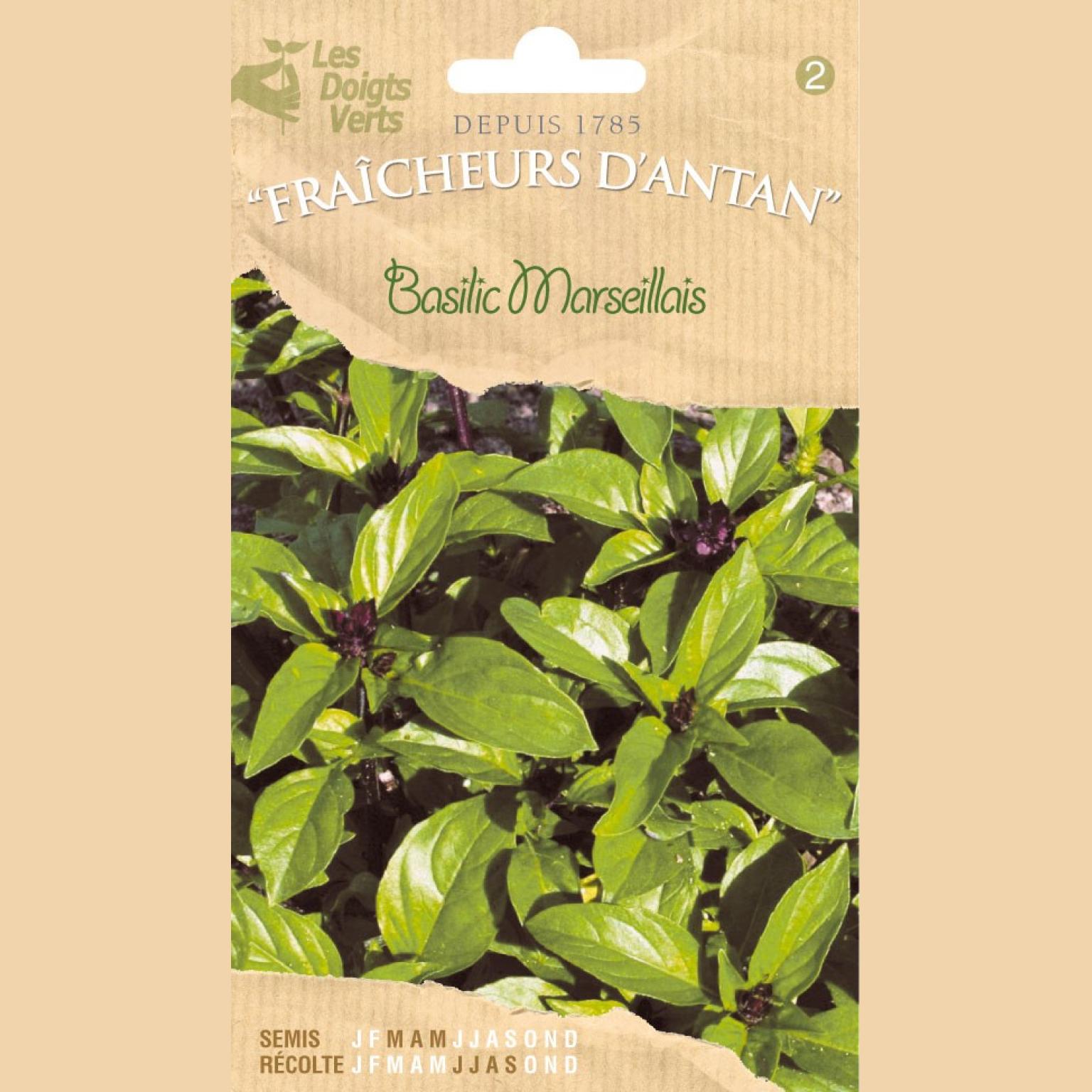 BASILIC MARSEILLAIS