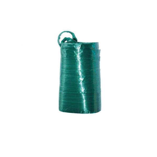RAPHIA SYNTHETIQUE VERT 100G