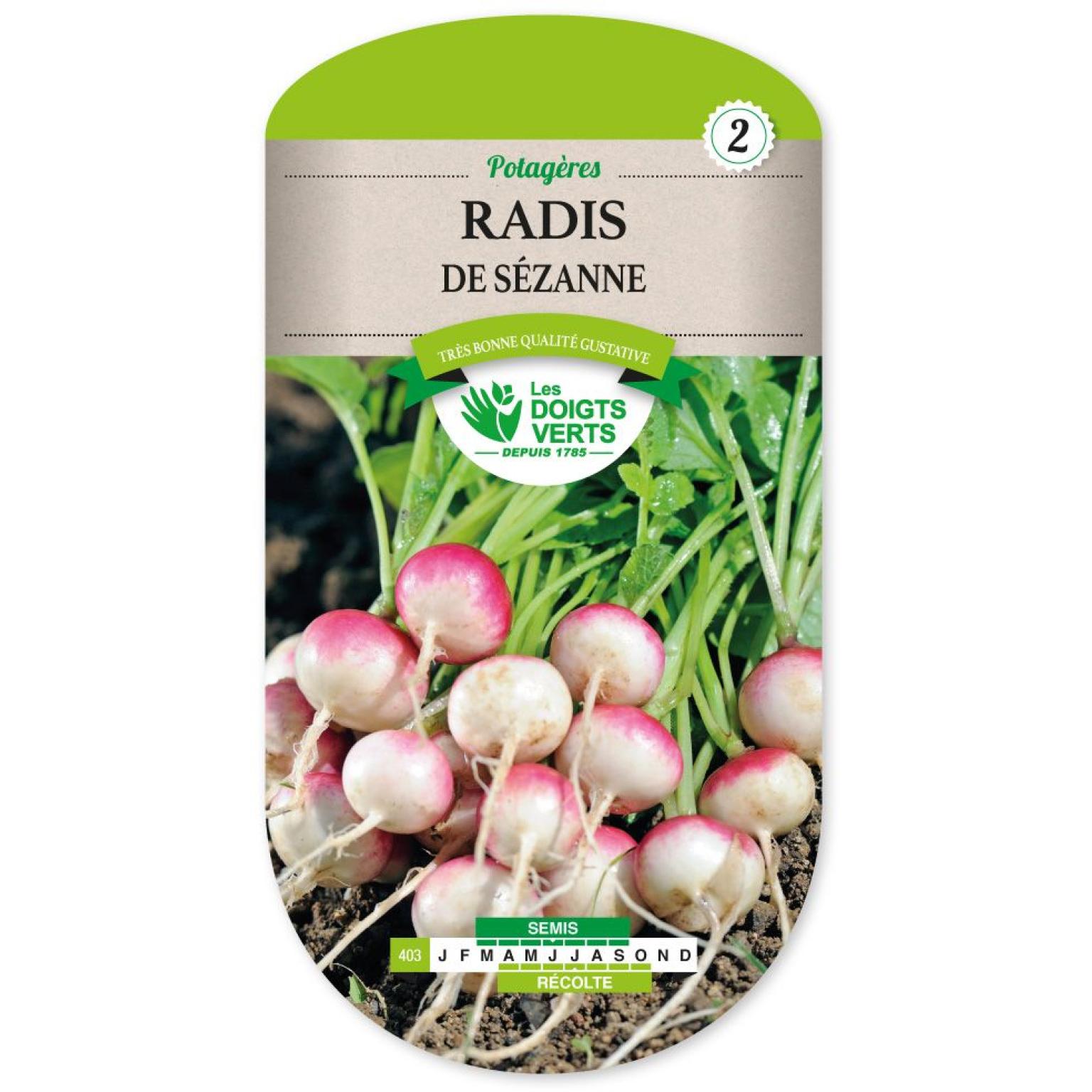 RADIS DE SEZANNE