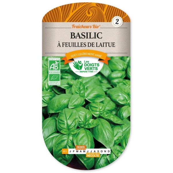 BASILIC ITALIEN BIO