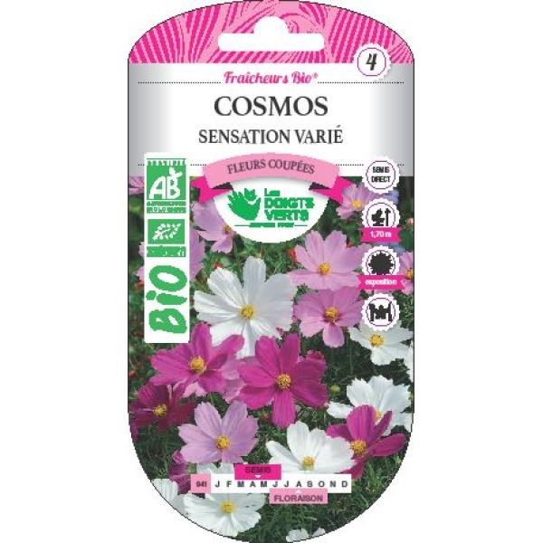 COSMOS SENSATION VARIE FLEUR COMESTIBLE BIO