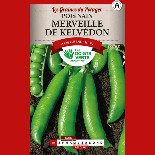 POIS NAIN MERVEILLE DE KELVEDON BIO 30G