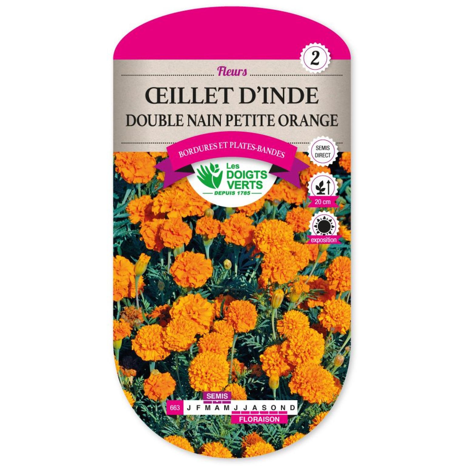 OEILLET D INDE DOUBLE NAIN PETITE ORANGE
