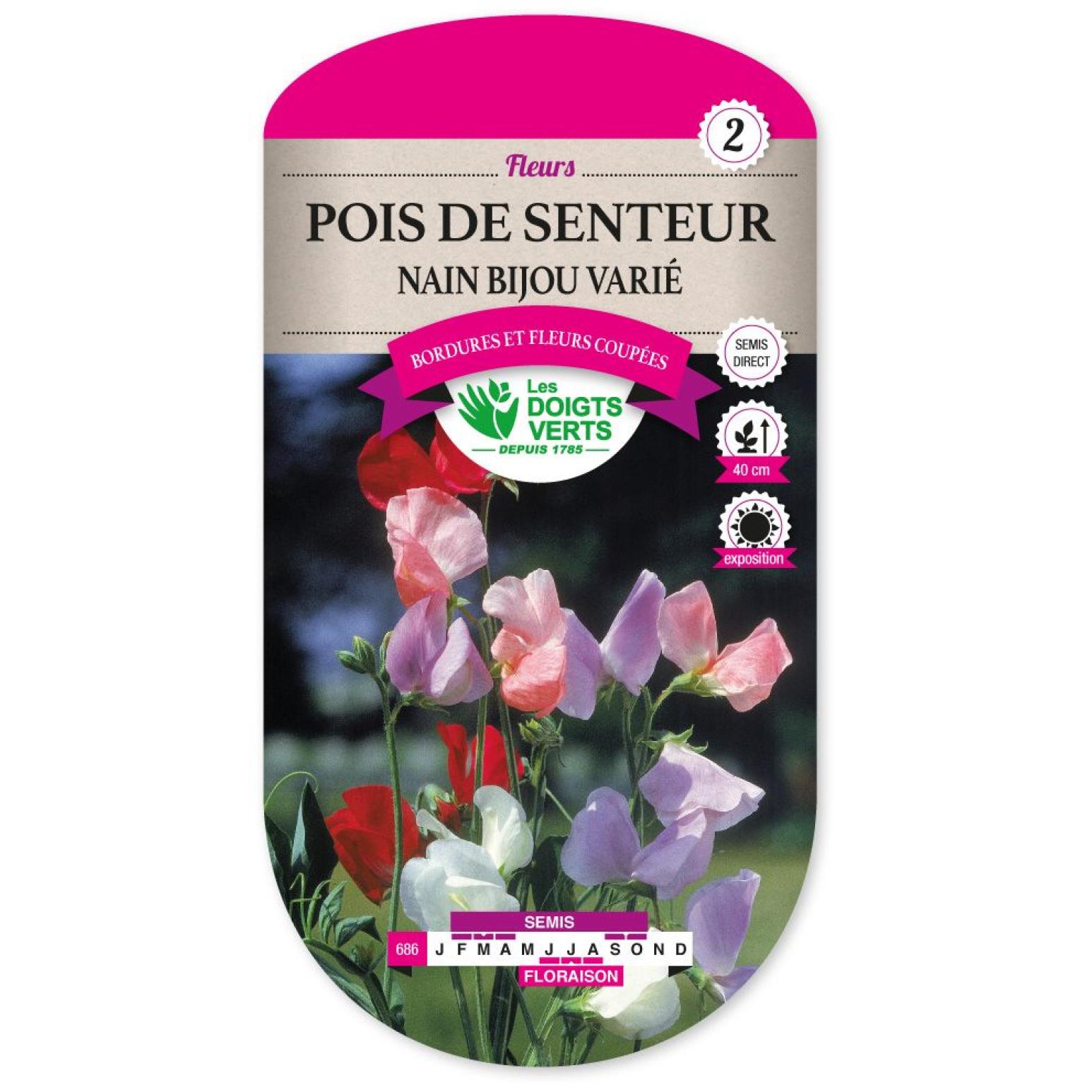 POIS SENTEUR NAIN BIJOU VARIE