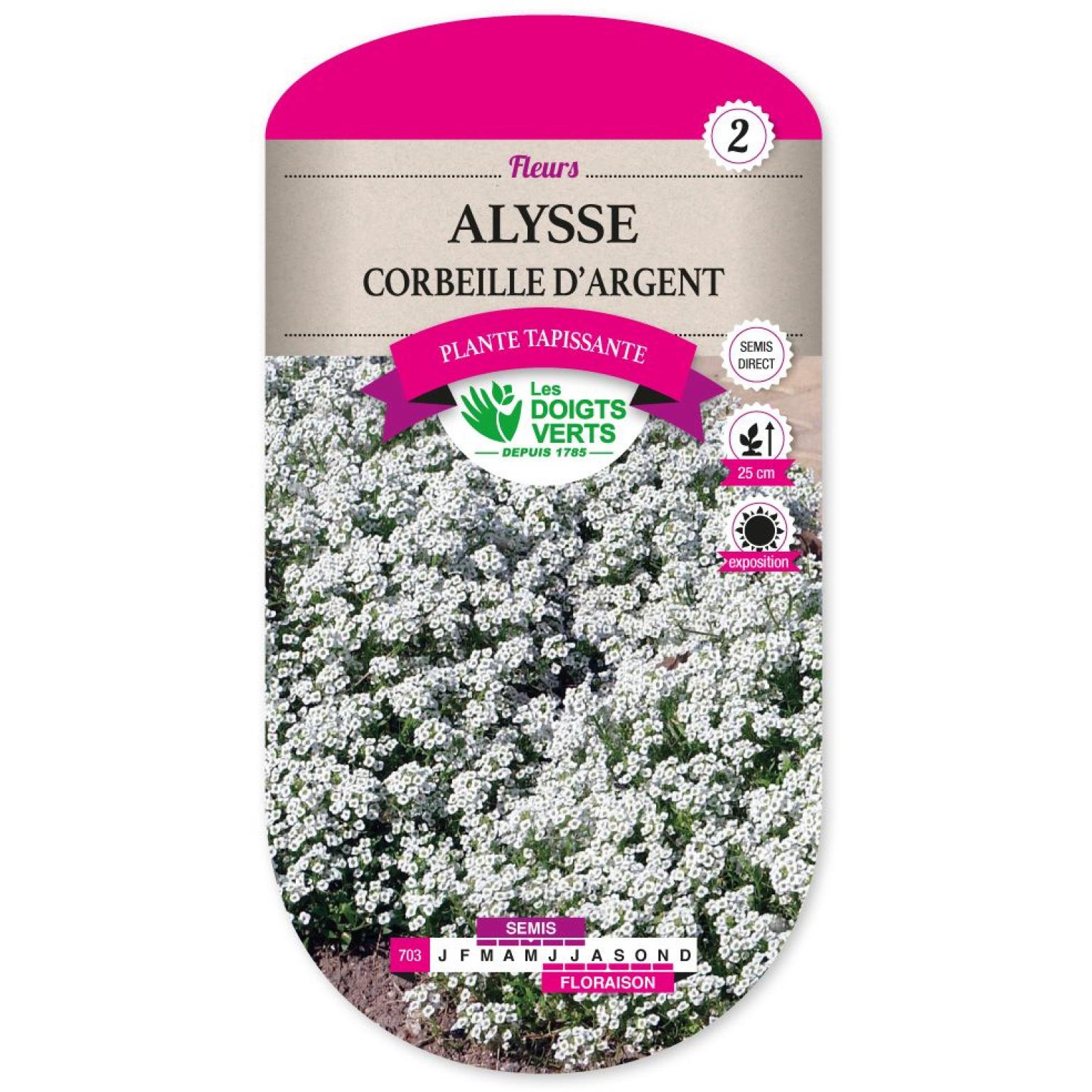 ALYSSE CORBEILLE D ARGENT