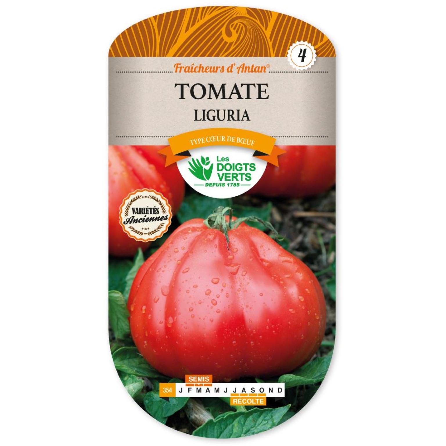 TOMATE LIGURIA