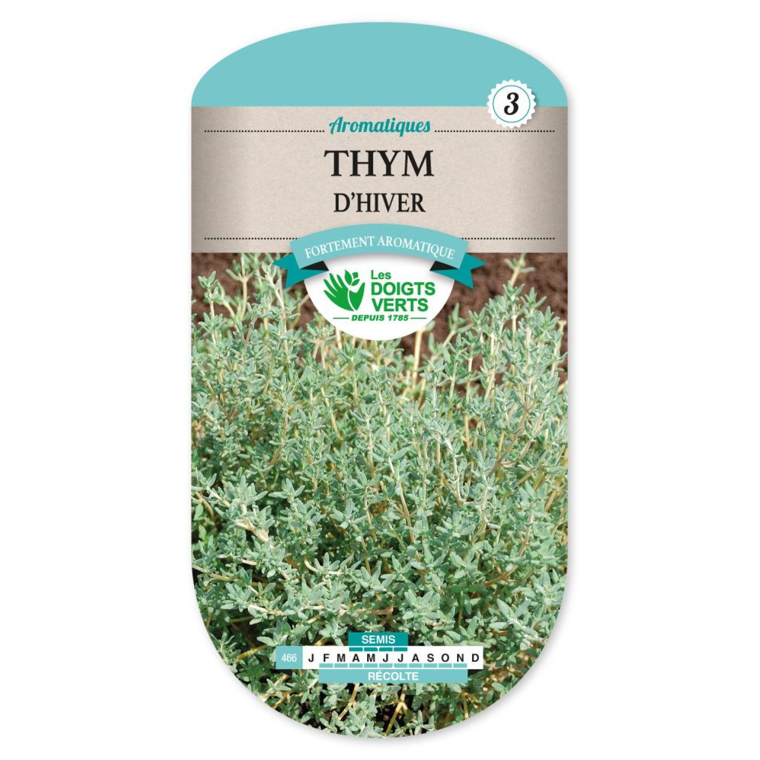 THYM D HIVER