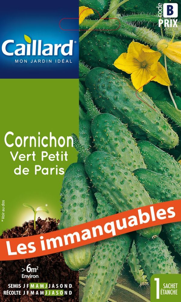 CORNICHON VERT PETIT DE PARIS