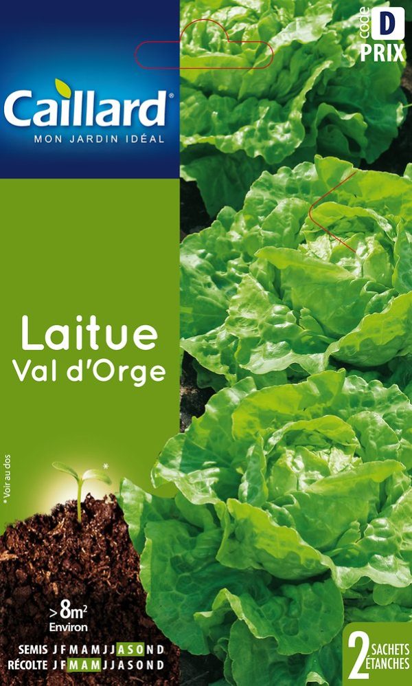 LAITUE VAL D ORGE