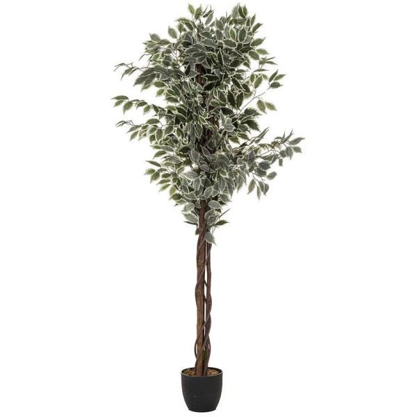 FICUS ARTIFICIEL BICO H180