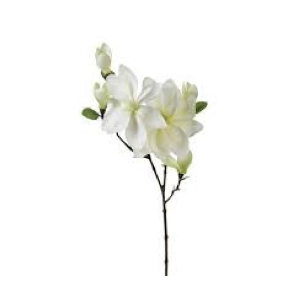 TIGE MAGNOLIA BLANC H 83