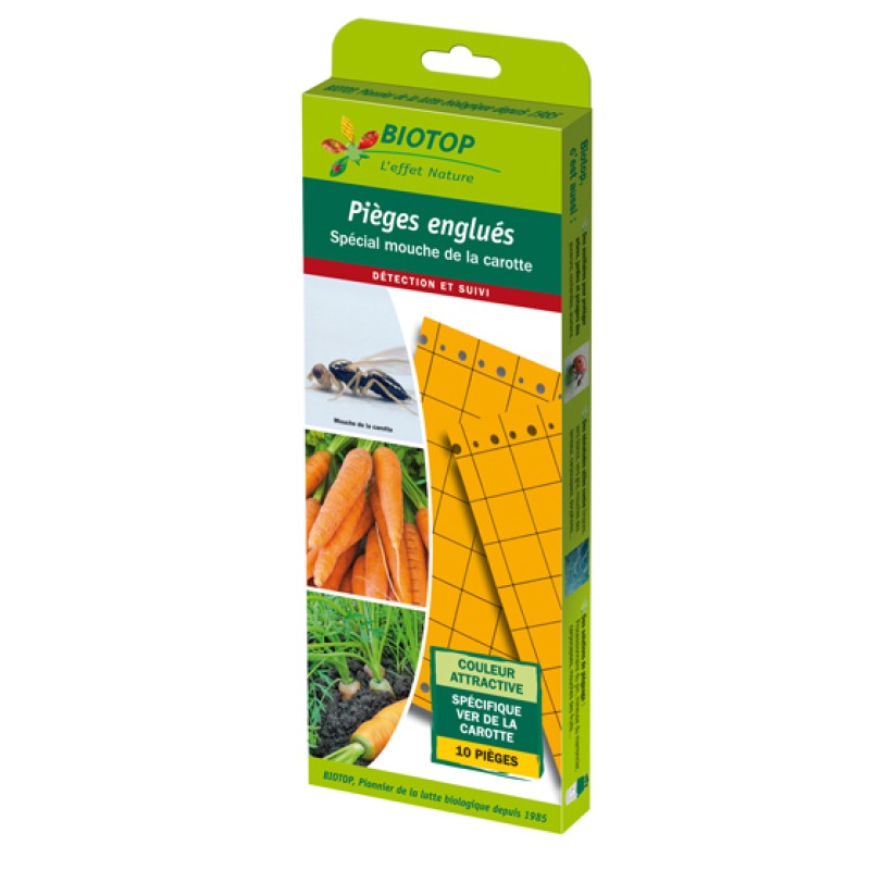 PIEGES ORANGES ENGLUES CHROMATIQUE 25X10CM X10