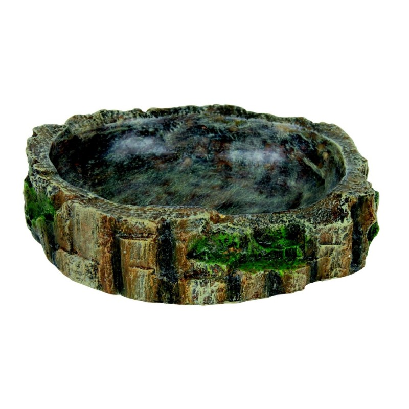 ECUELLE REPTILE 13*3.5*11CM