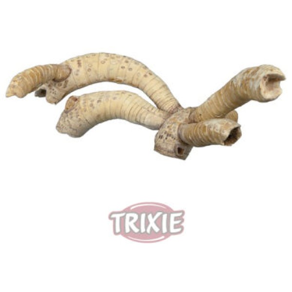 RACINE DE BAMBOU S/M 40CM MAX