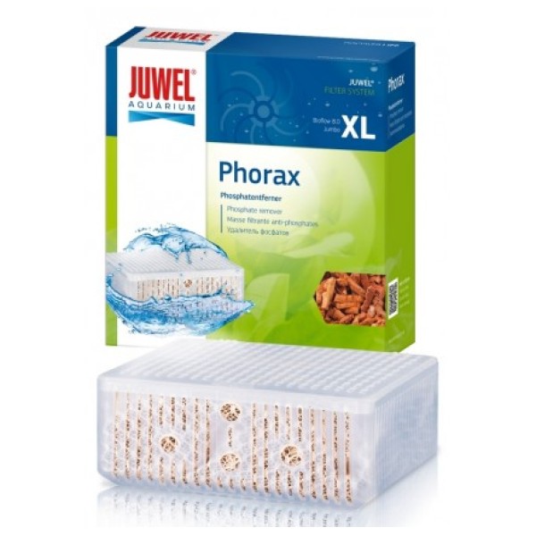 CARTOUCHE PHORAX JUMBO