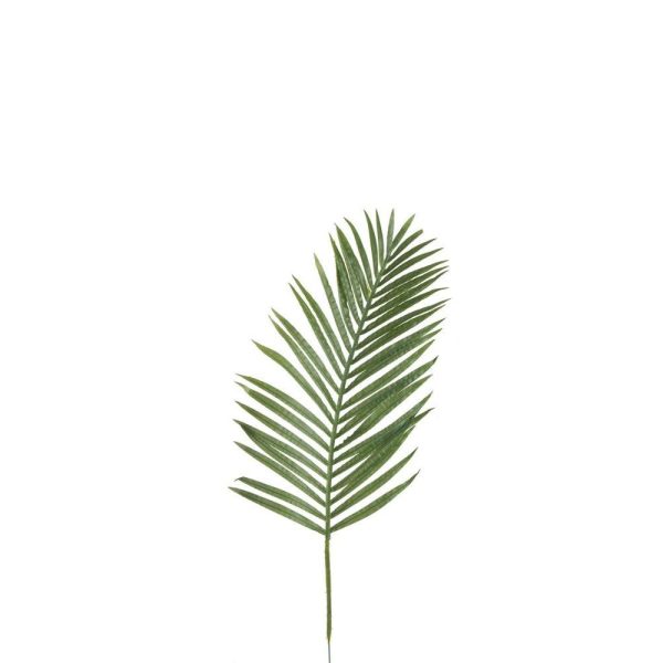 FEUILLE PALMIER ARECA VERT
