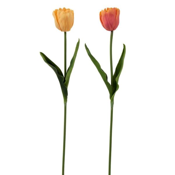 TULIPE SEUL FRESH T ORANGE/CORAIL