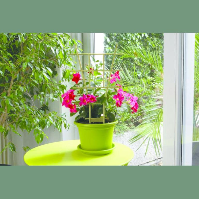 TUTEUR ECHELLE PLASTIQUE VERT CITRON 50CM