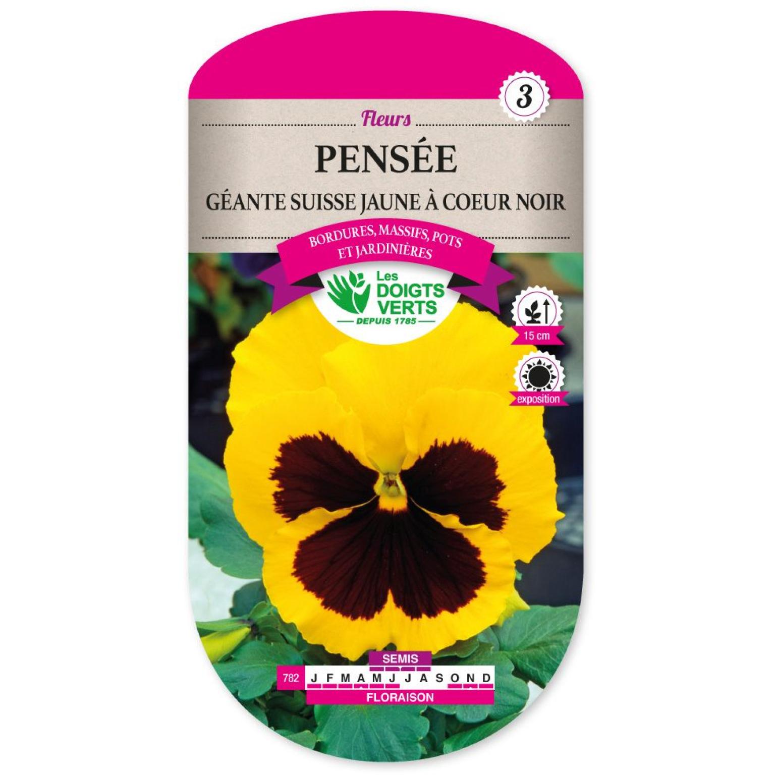 PENSEE GEANTE SUISSE JAUNE A COEUR NOIR