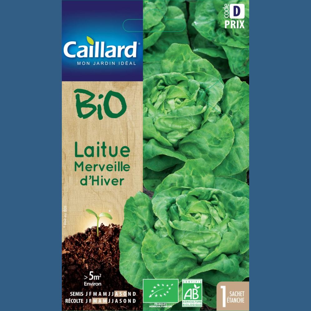 LAITUE MERVEILLE D HIVER BIO