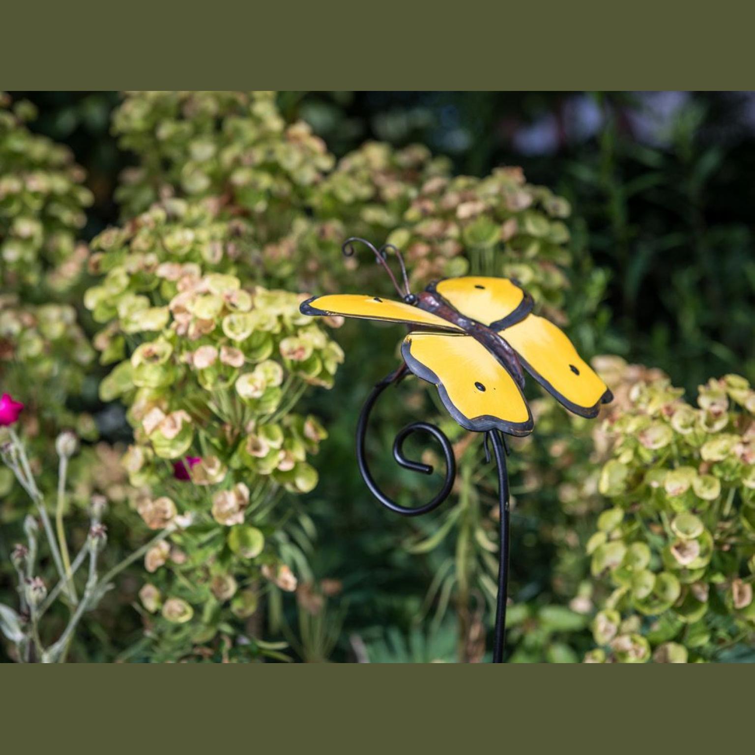 PAPILLON JAUNE TIG MET 14X18 H98