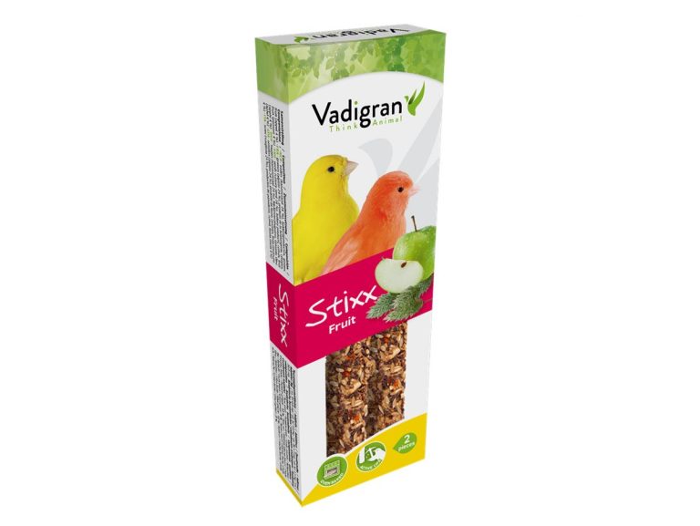 SNACK STIXX CANARI FRUIT 85G