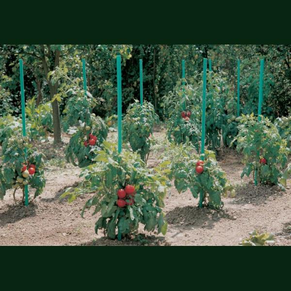 TUTEUR TOMATE A RESERVE EAU VERT 20X20MM 1.8M