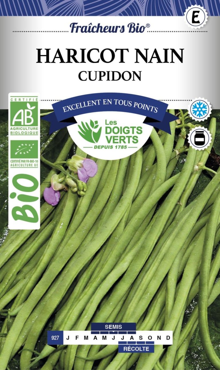 HARICOT NAIN CUPIDON EXTRA FIN SANS FIL BIO 30G
