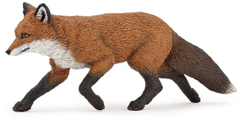 RENARD