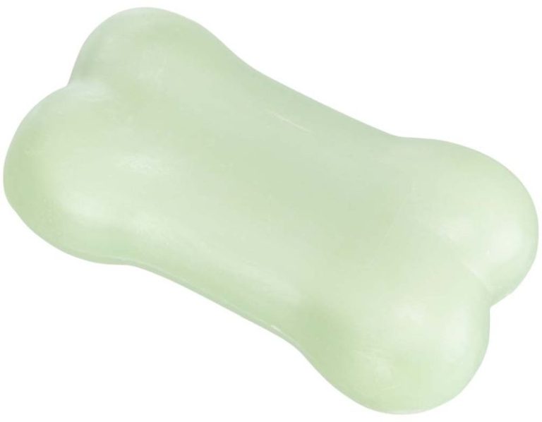 SAVON SHAMPOING ALOE VERA 100G