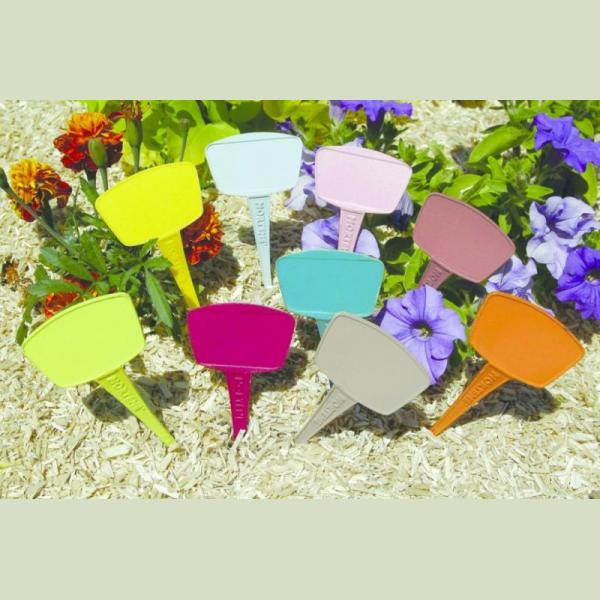 ETIQUETTES A PLANTER COULEUR X12