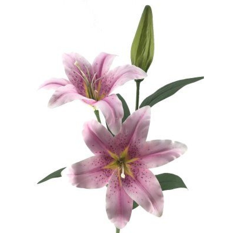 TIGE DE LYS H75CM MAUVE