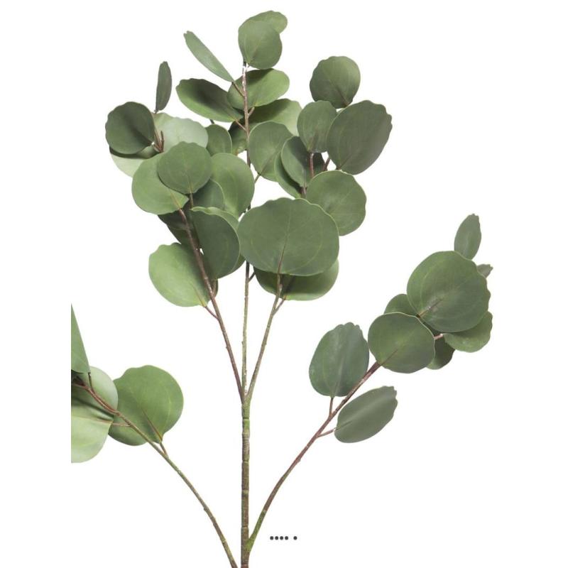 PIQUET D EUCALYPTUS H 38 CM VERT