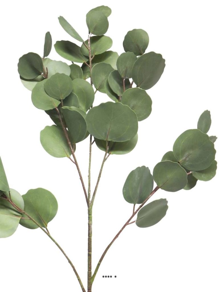 PIQUET D EUCALYPTUS H 38 CM VERT